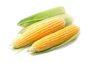 400x2-corn