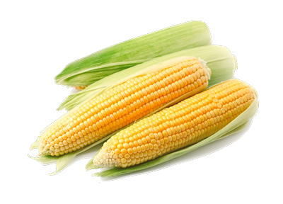 400x2-corn